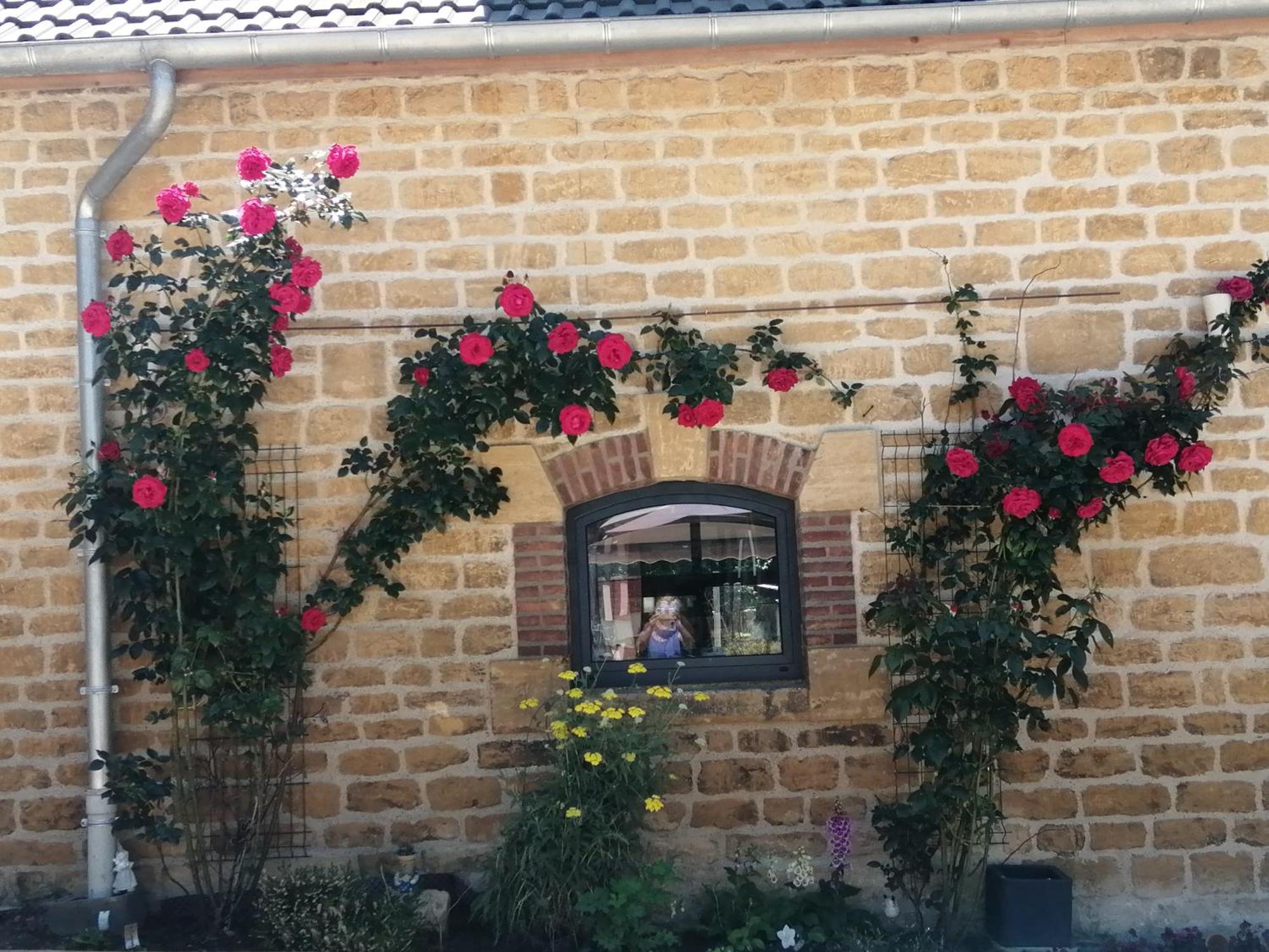 O Jardin De Boutancourt Villa Eksteriør billede