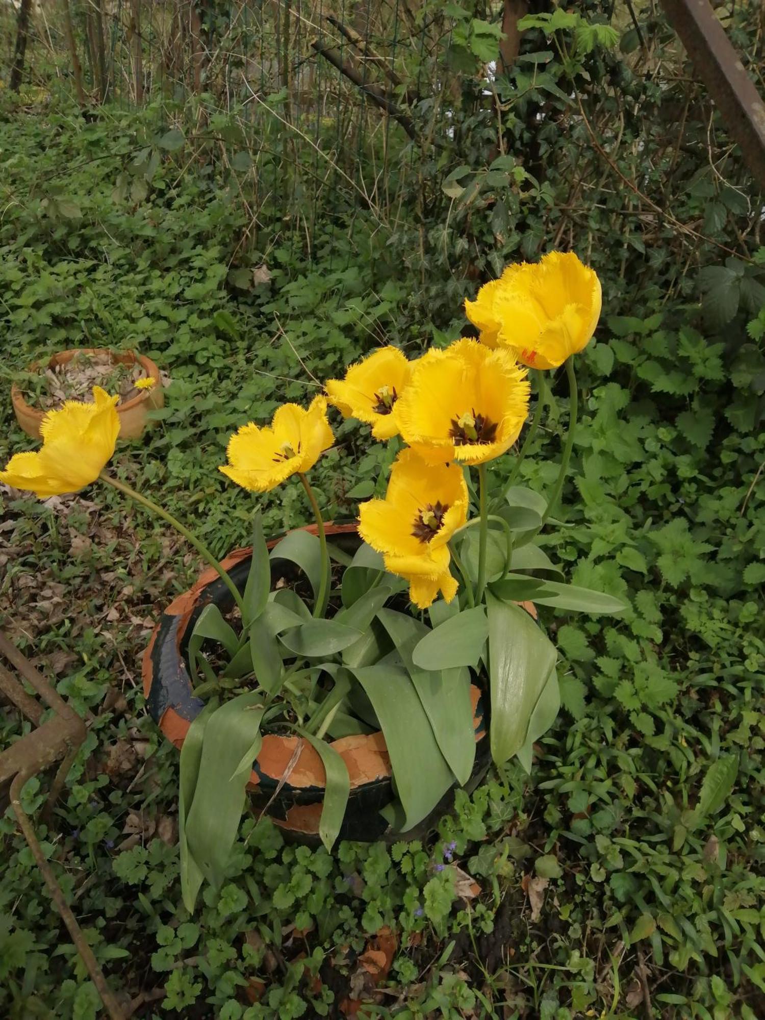 O Jardin De Boutancourt Villa Eksteriør billede