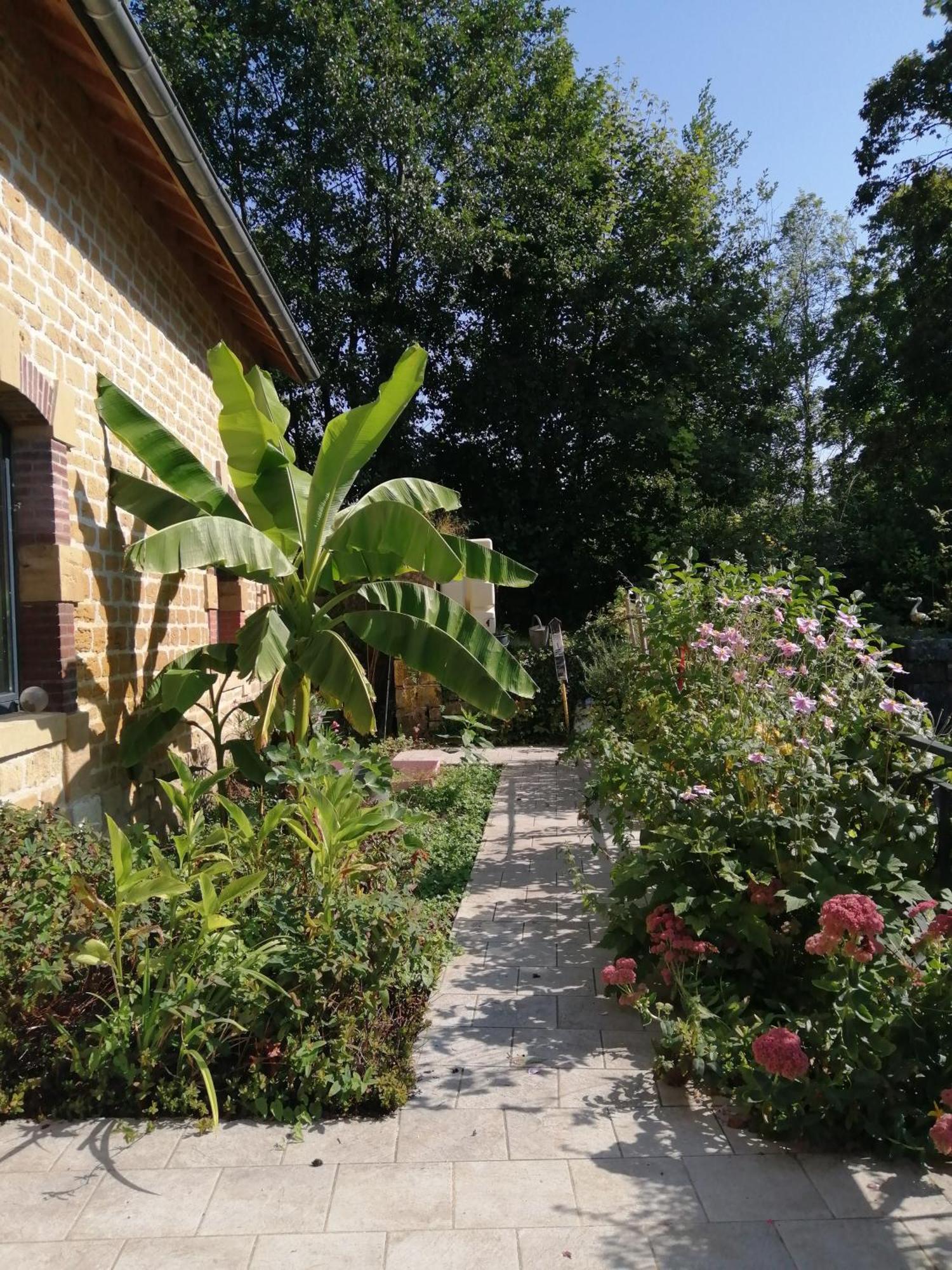 O Jardin De Boutancourt Villa Eksteriør billede