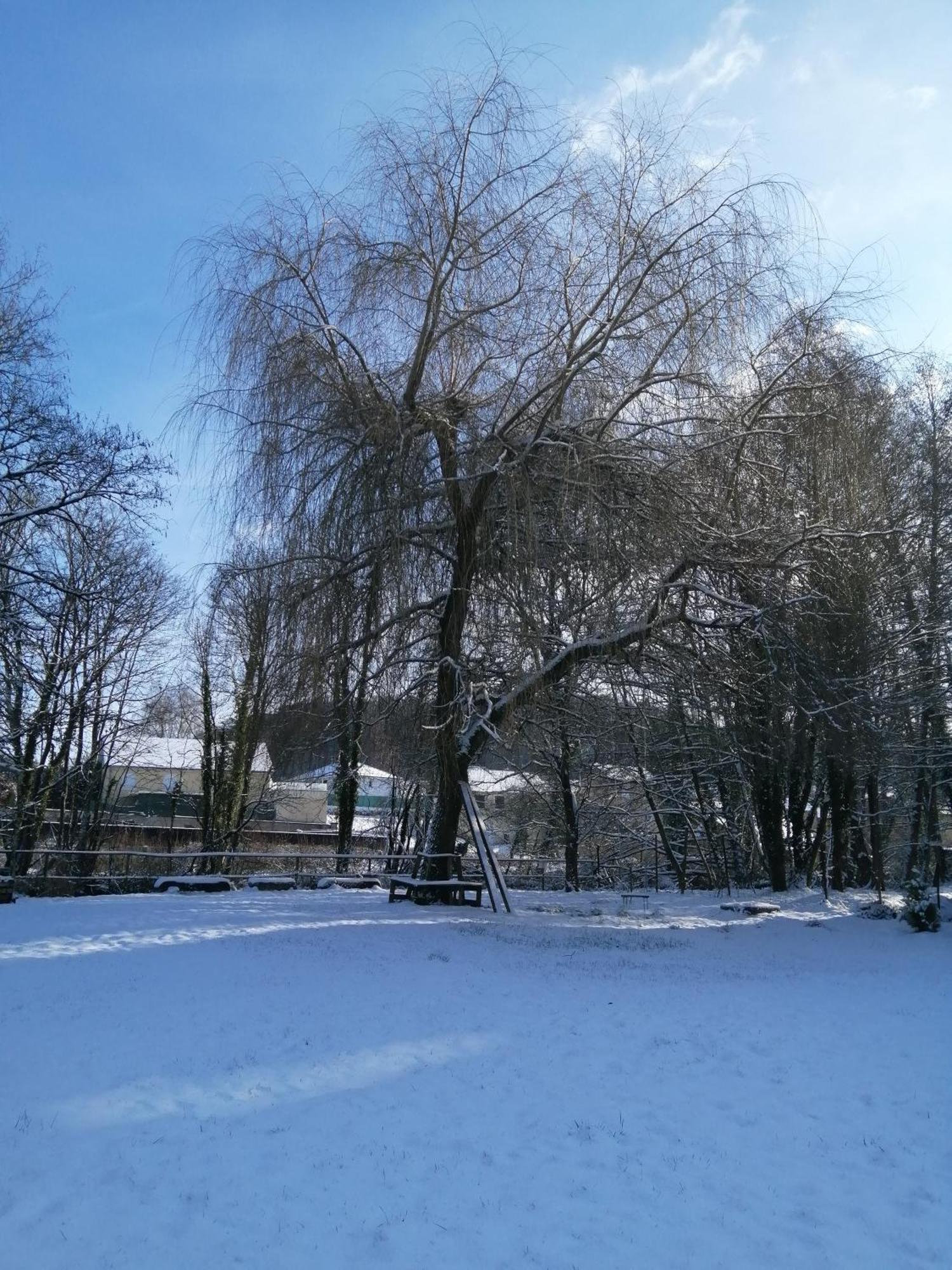 O Jardin De Boutancourt Villa Eksteriør billede