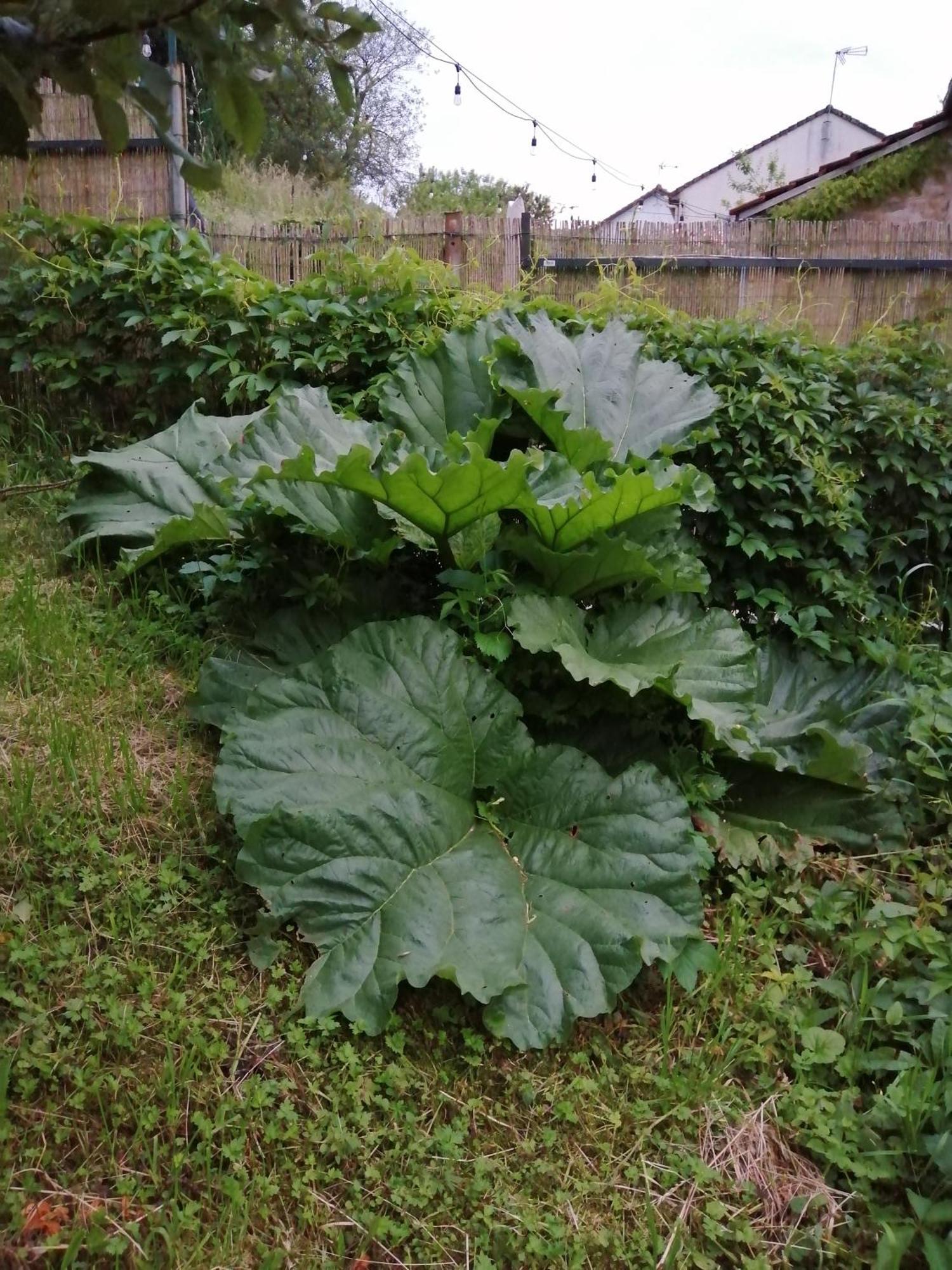 O Jardin De Boutancourt Villa Eksteriør billede